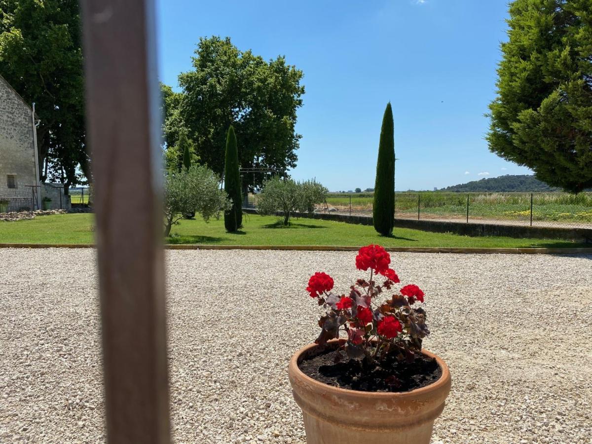Le Domaine De Laforest Fontvieille Kültér fotó