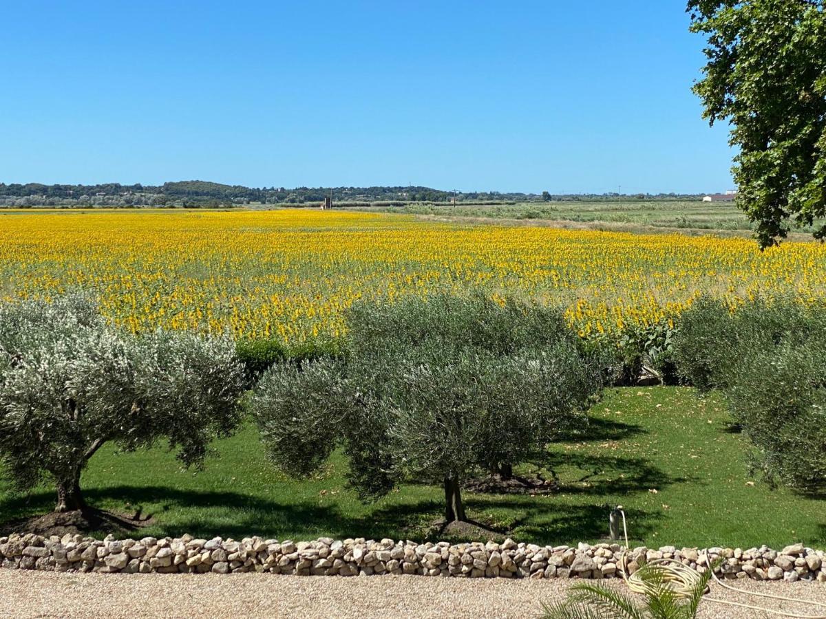 Le Domaine De Laforest Fontvieille Kültér fotó