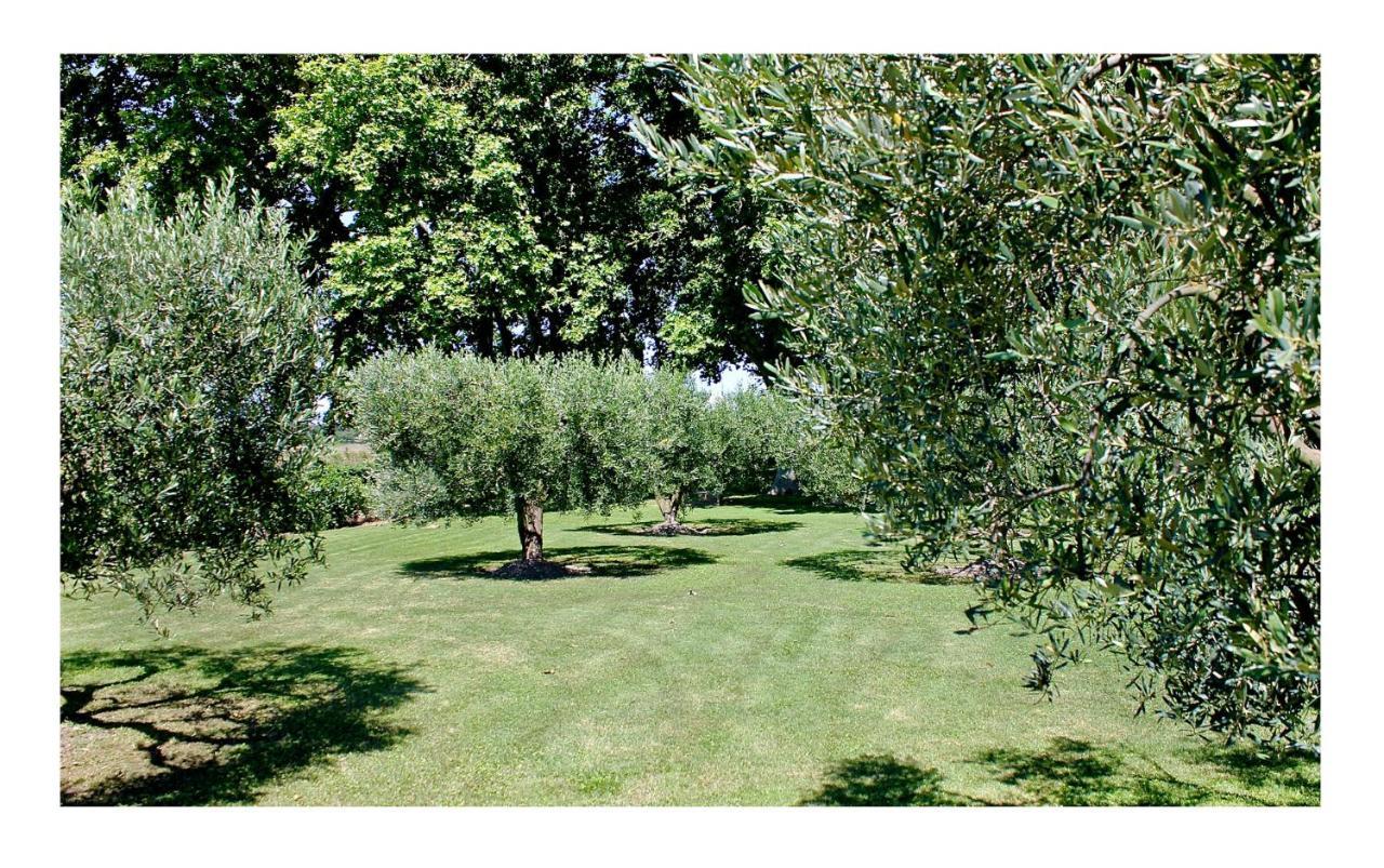 Le Domaine De Laforest Fontvieille Kültér fotó