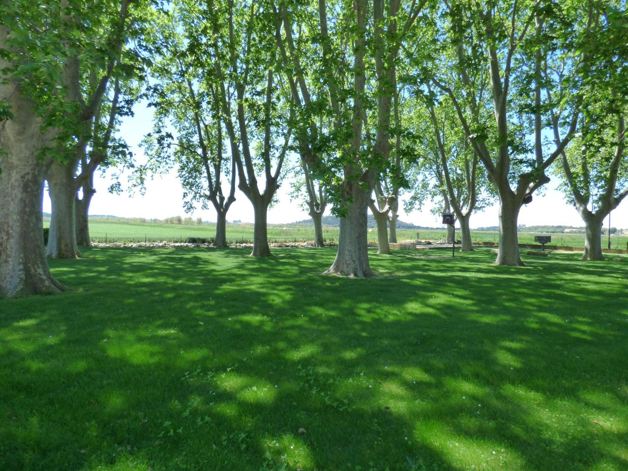 Le Domaine De Laforest Fontvieille Kültér fotó
