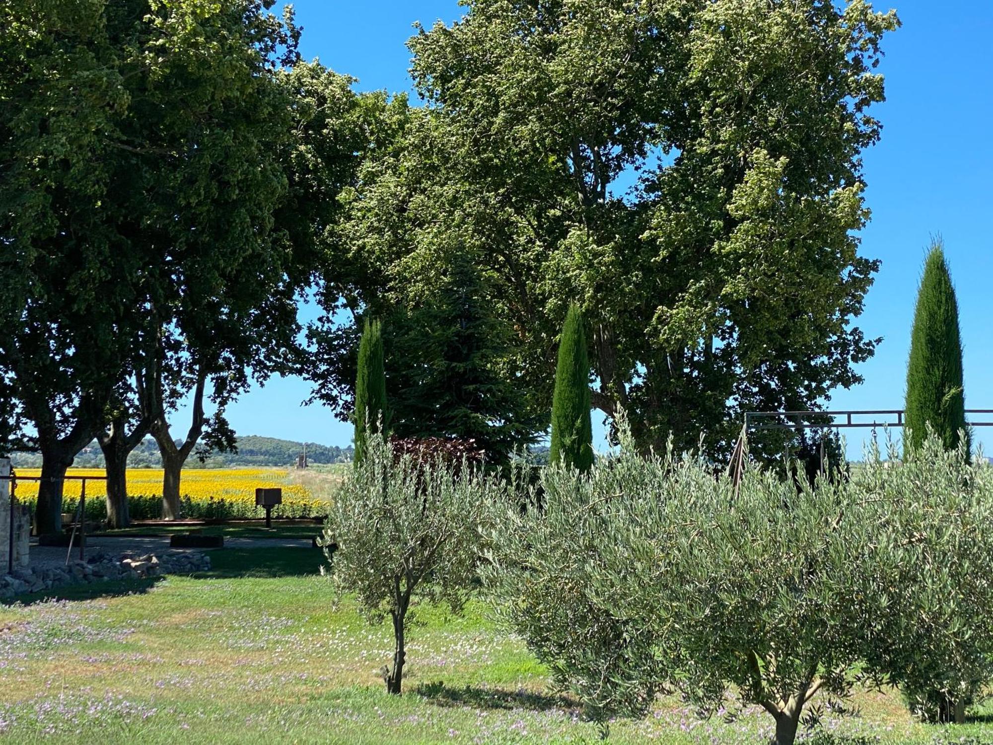 Le Domaine De Laforest Fontvieille Kültér fotó